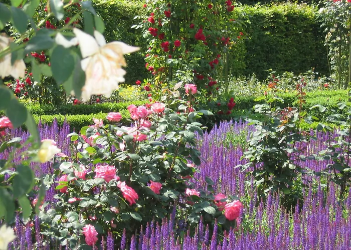 Hotel Gaestezimmer Cappuccino